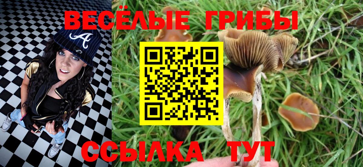 Псилоцибиновые грибы Psilocybine cubensis  Галлюциногенные грибы мицелий  Трёхгорный  Вход с VPN 